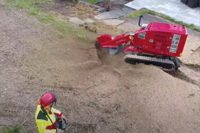 Измельчитель пней FSI D 74 T